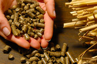 free Gastard biomass boiler quotes