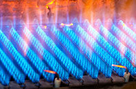 Gastard gas fired boilers